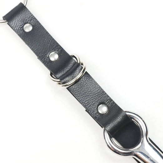 and Leash Hook with Anal EverydayUse 5853 Collar Kinky 0317
